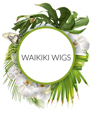 waikikiwigs.com logo