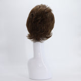 SYNTHETIC WIG SHORT BANGS DARK BROWN BACK